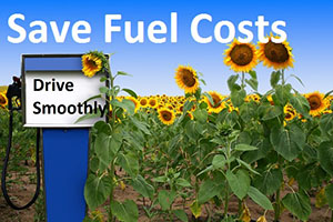 Save Fuel Cost